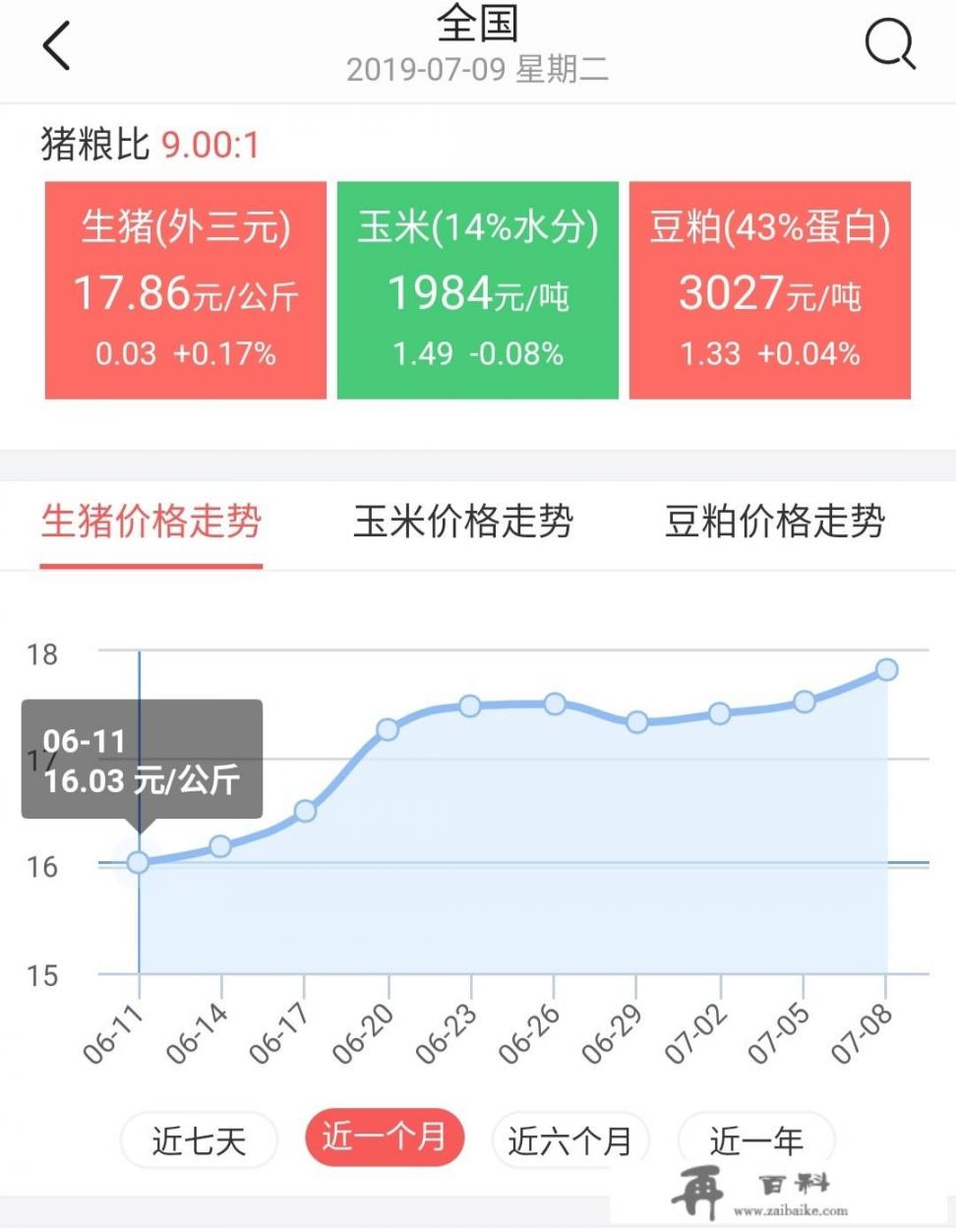 2021年12月5日毛猪价格会上涨吗？