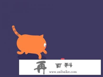 新养的小猫对我十分不友好怎么办？