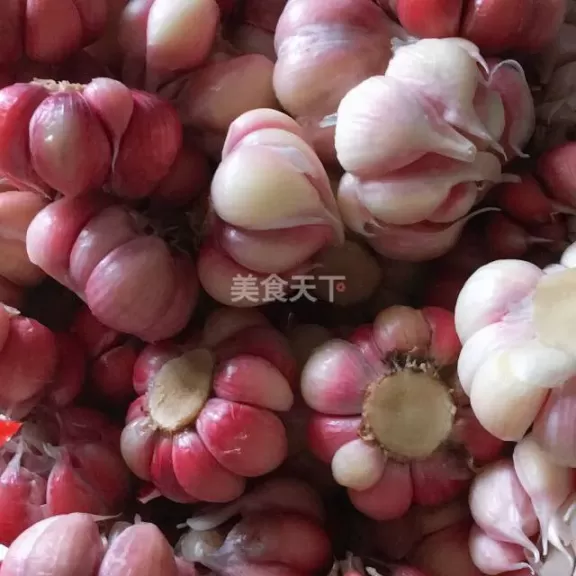 腌蒜怎么做好吃，糖醋腌蒜的家常做法？