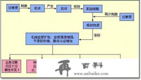 吃海鲜后皮肤瘙痒是怎么回事呢？