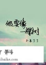 凤锦兮轩辕晟小说名字？