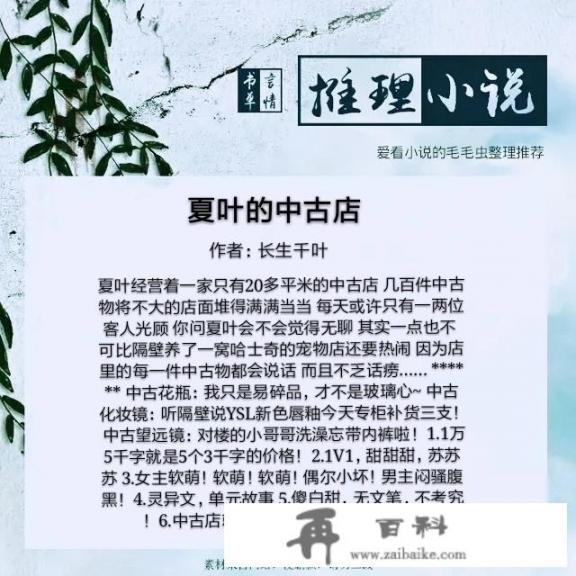 有没有轻松搞笑的言情加破案推理的小说呀？