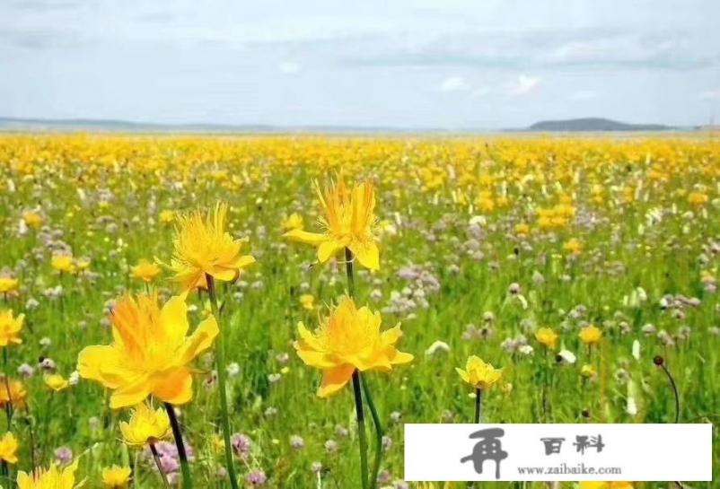 雨花客厅游玩攻略？