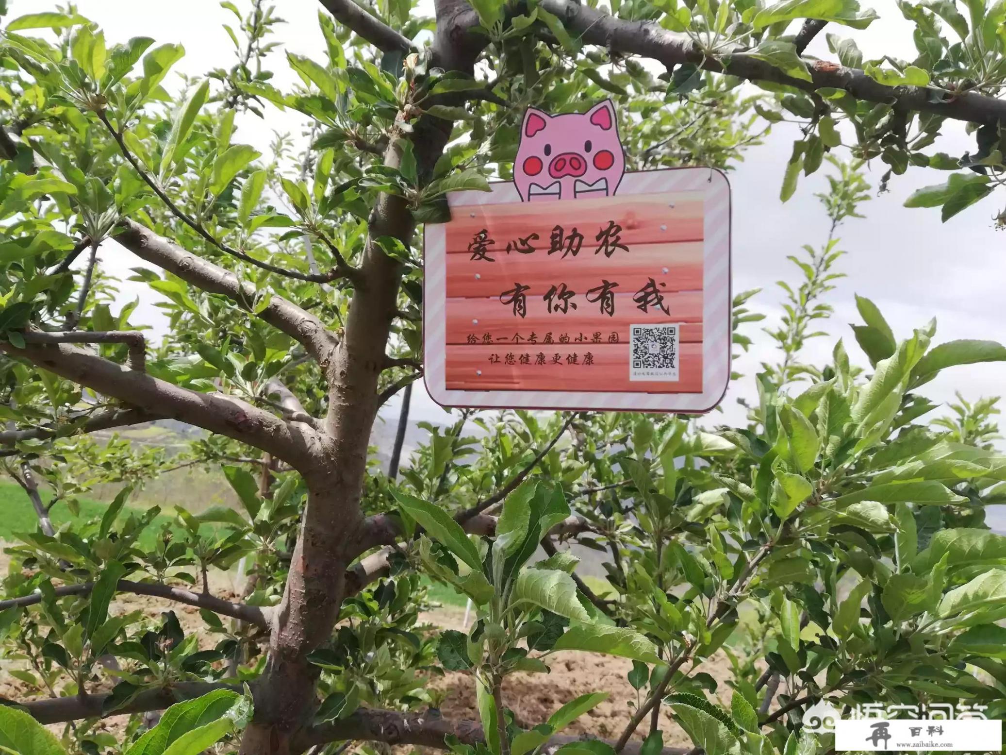 休闲农业如何做成产业？