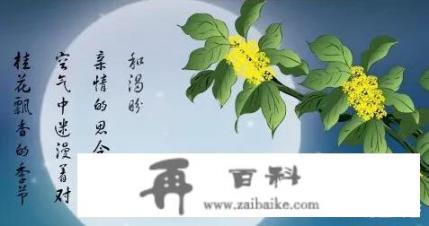 甜蜜风暴剧情介绍？