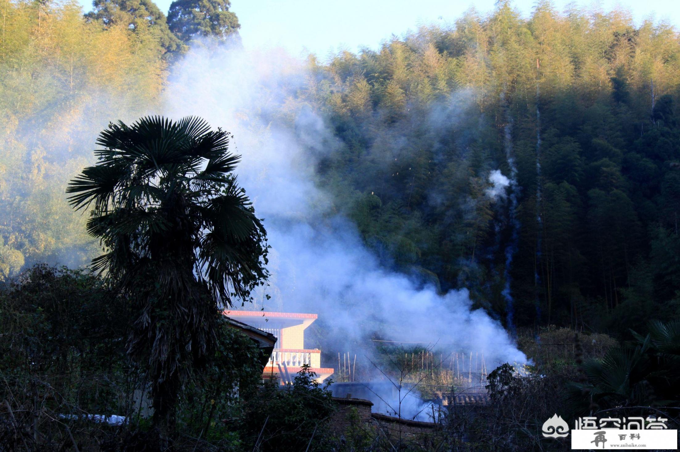 福建一年种几季地瓜？