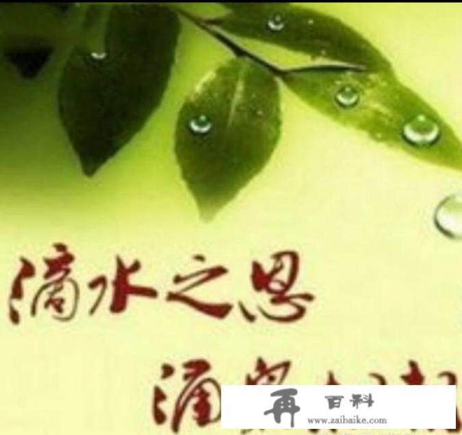 女主叫苏软软的团宠小说叫什么？