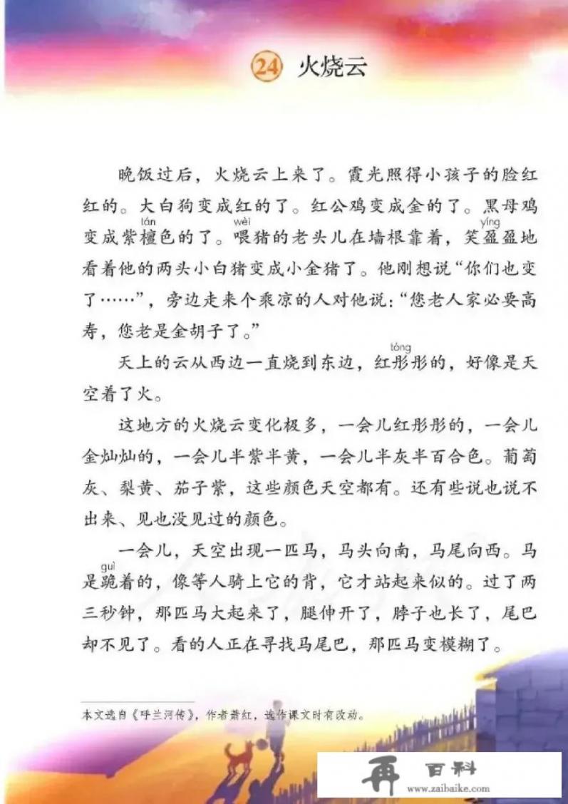 陆知暖的小说叫什么名字？