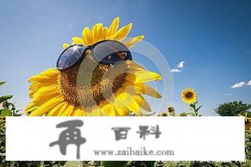 广东夏天煲什么汤好？