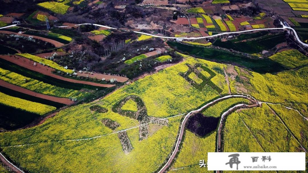 在西安旅游时自己玩好还是跟着旅游团好？