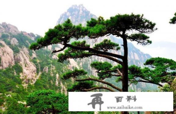北京洪水对旅游有影响吗？