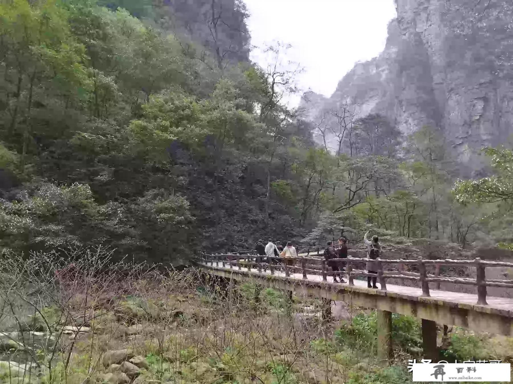 韶山景区2023年疫情如何！？