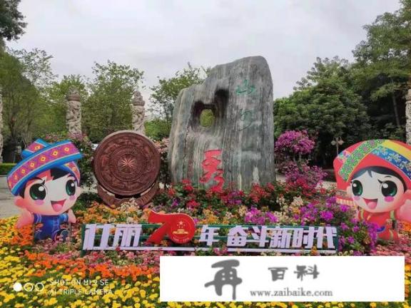 一个人出去旅游应该带些什么？
