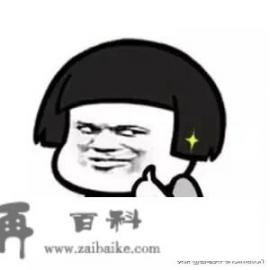 主角是项晚的小说？