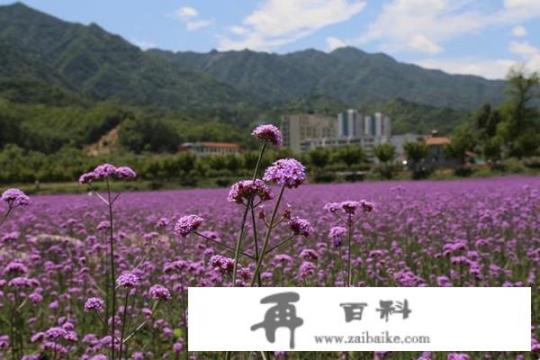 常州出发自驾游去哪旅游哪里最好？