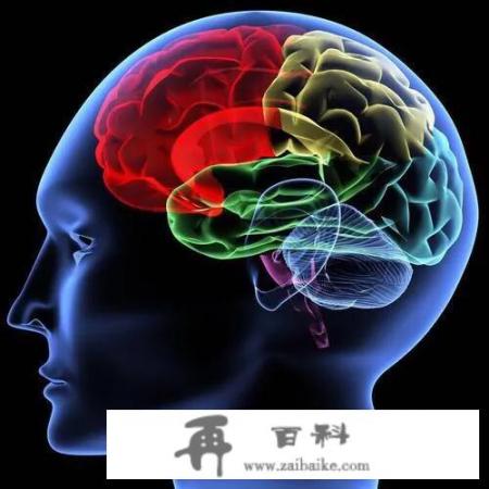 数学好是左脑发达还是右脑？