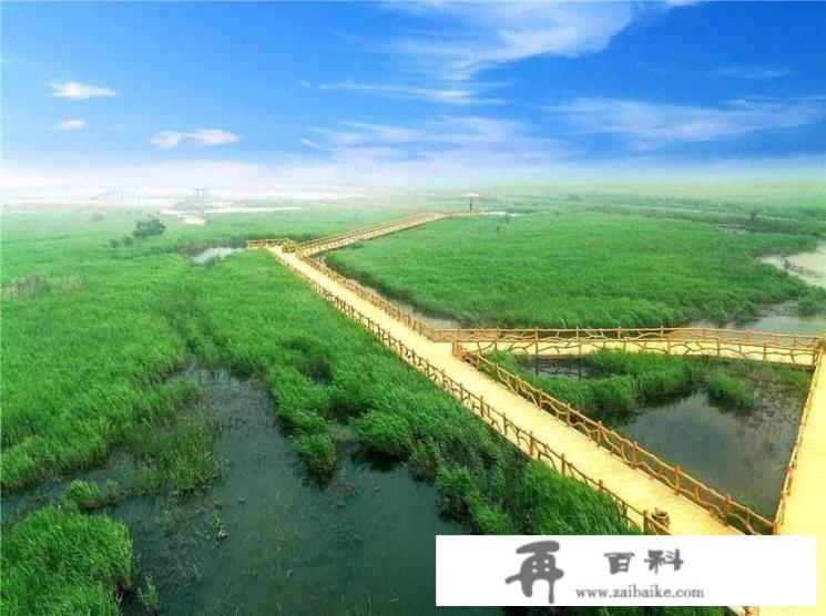 黄河入海口景区。开放了吗？