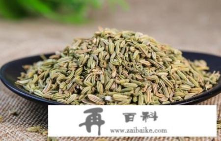 茴香的药物价值如何？