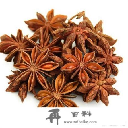 茴香的药物价值如何？